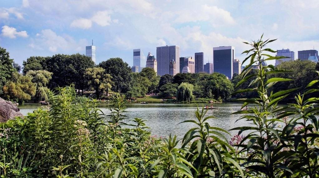 Top Outdoor Sports Activities in New York City