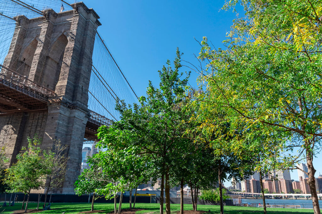 Credit Photo RLTheis via Envato
Itinerary 5 days New York, Dumbo Brooklyn